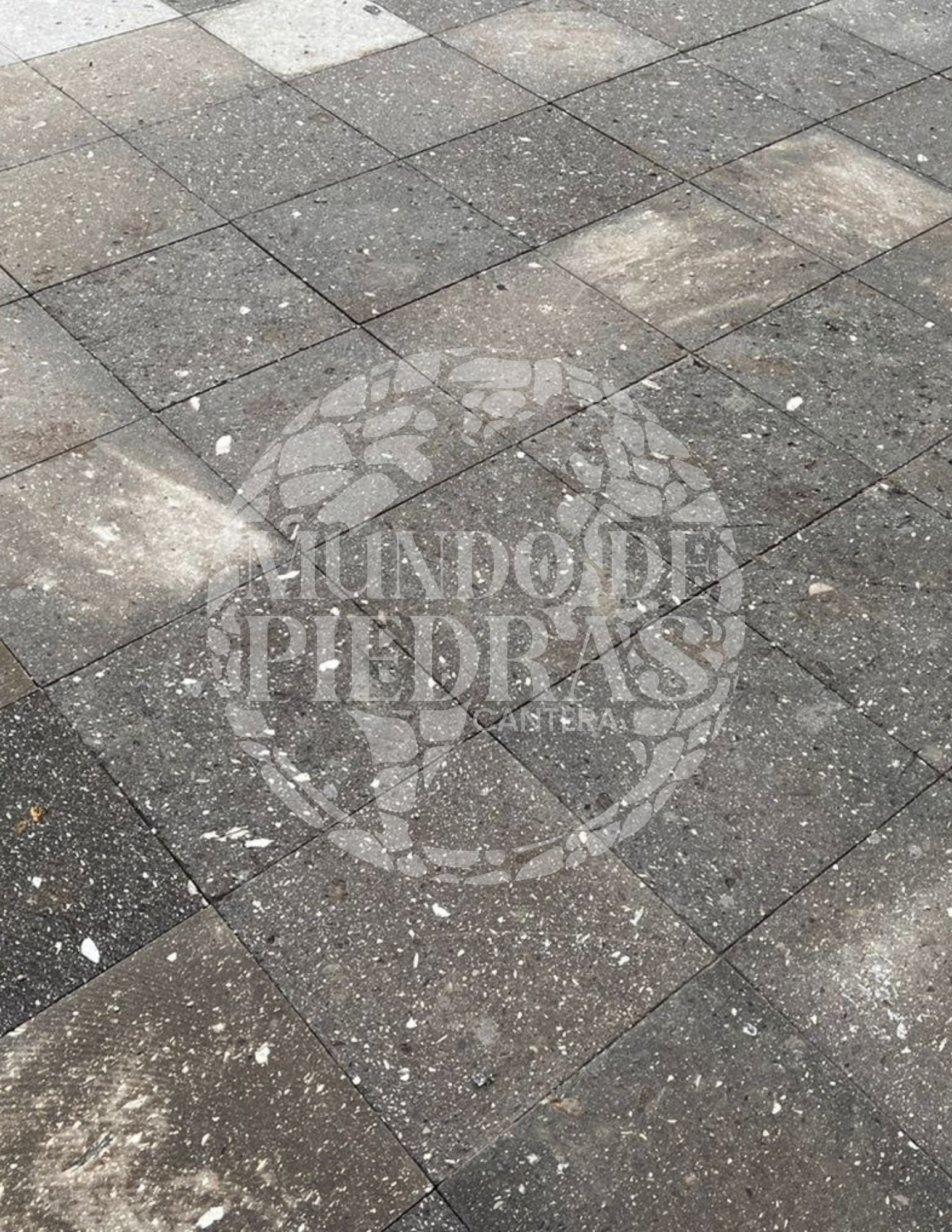 CANTERA GRIS JALISCO