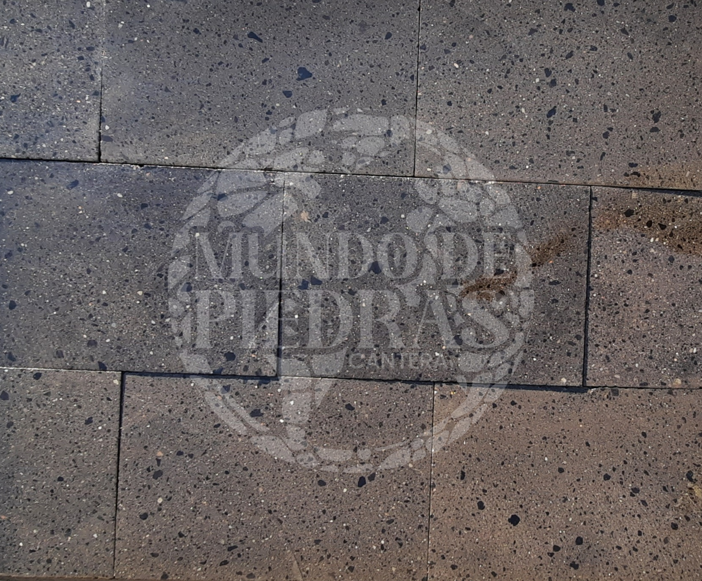 CANTERA NEGRA AMERICA