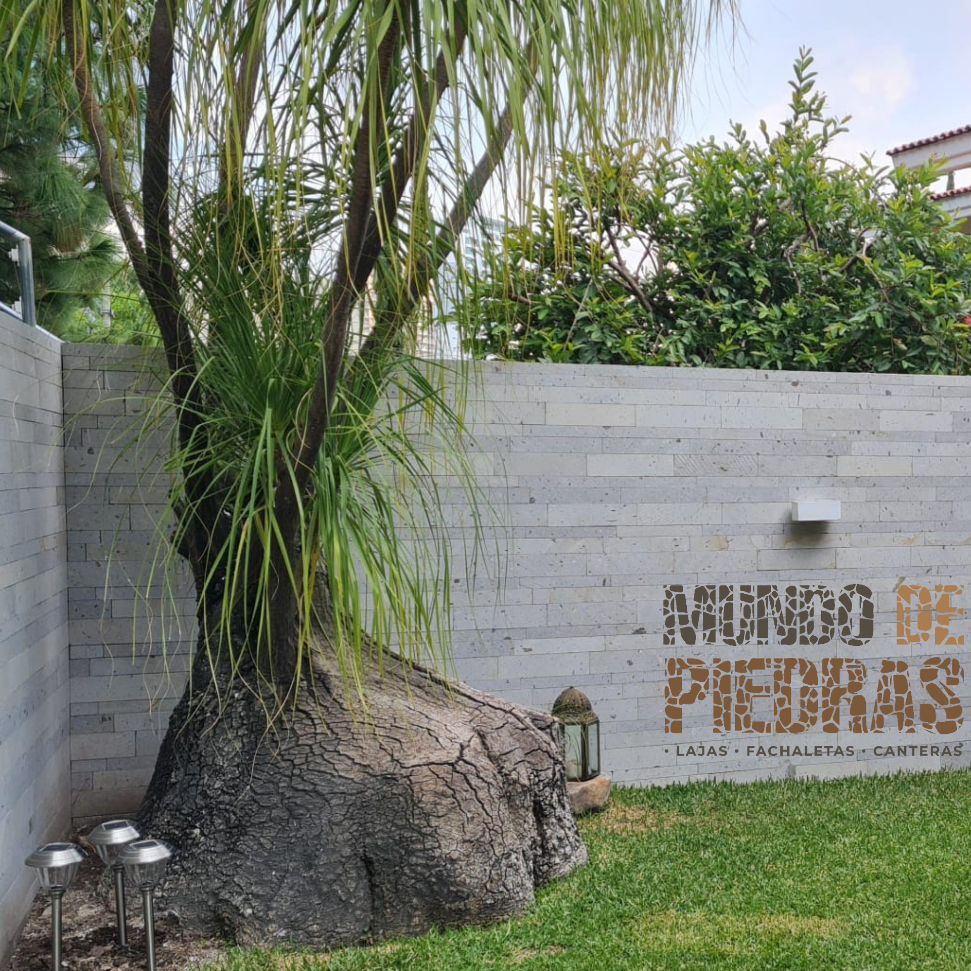 CANTERA BLANCA TINAJEROS