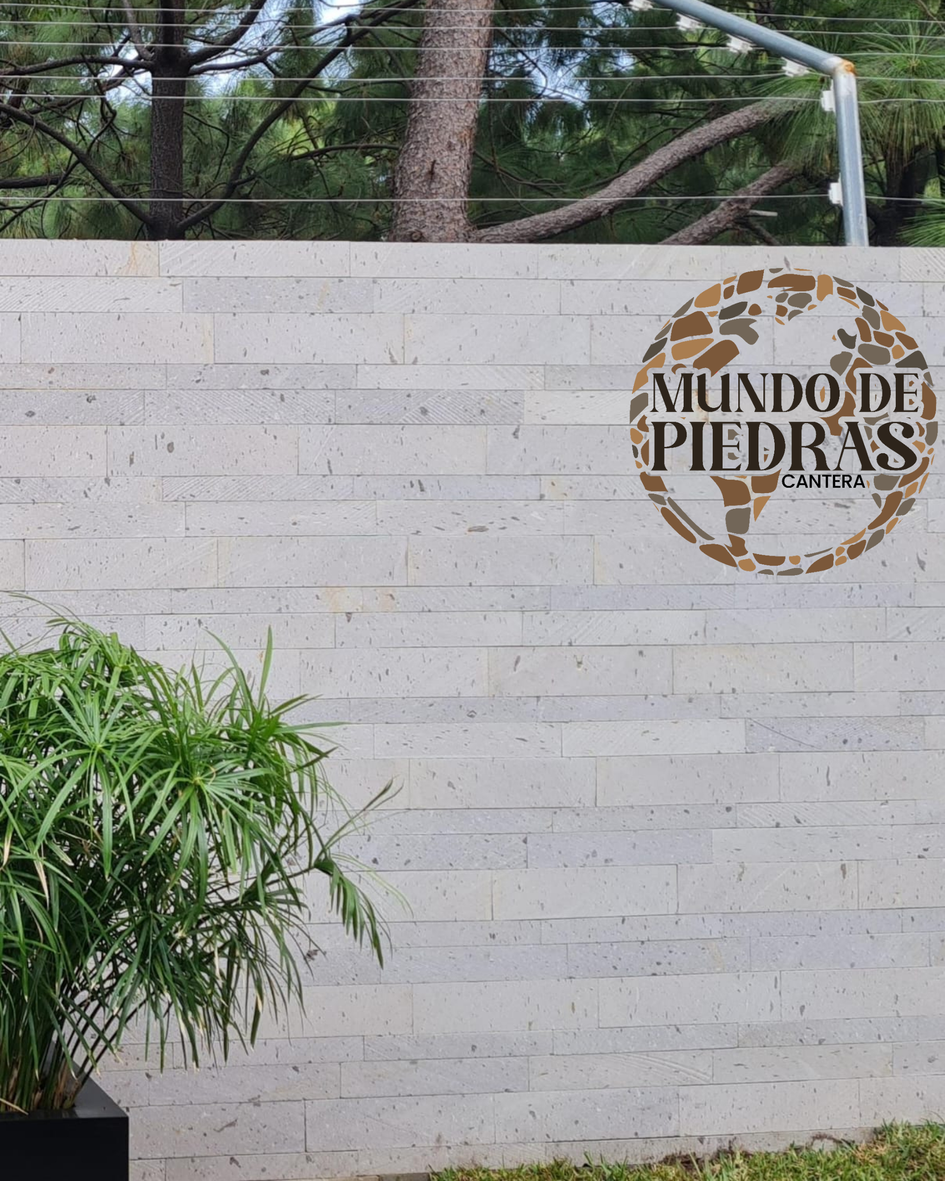 CANTERA BLANCA TINAJEROS